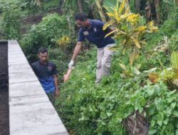 Seorang Warga di Temukan Sudah Meninggal di Area Kebun di Desa Pohsanten Kec. Mendoyo Kab. Jembrana