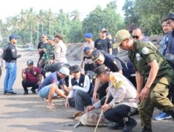 Team Unit Gakum Polres Jembrana, Berhasil Gagalkan Penyelundupan Satwa di Lindungi, 14 Ekor Penyu Hijau di Kembalikan ke Habitatnya