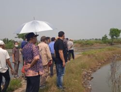 Hengky dan Hendra,di duga memalsukan surat-surat garapan Laut,negara di rugikan.