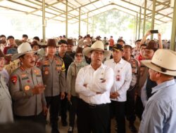 Polresta Tangerang Amankan Menteri Pertanian dan Wakapolri, Monitoring Ketersediaan Hewan Kurban*
