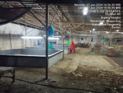 Diduga Oknum Aparat Penegak Hukum Beck Up Judi Ayam Informasi Bocor Penggrebekan Tempat Kejadian Perkara Gagal Total