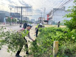 Polantas Bireuen Gotong Royong Bersihkan Rumput Dipinggir Jalan