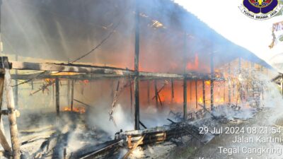 Kandang Ayam Terbakar di Kab. Jembrana, Kerugian di Taksir 1,4 Milyar