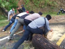 Respon Cepat Personil Polsek Linge dan Masyarakat Bersihkan Badan Jalan Yang Tertimpa Pohon Tumbang.