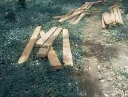 Lagi Lagi, Ratusan Keping Kayu Siluman Terkapar Dipinggir Jalan, Diduga Pemiliknya Para Siluman