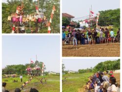 Panjat Pinang Di Tengah Bekas Sawah Meriahkan HUT Kemerdekaan Warga Dusun 04 Lebak Wangi