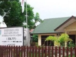 Seleksi ( PPPK) Pegawai Pemerintah Dengan Perjanjian Kerja Kota Langsa Di Buka