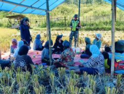 Serka Mhd Tuah Hasibuan Babinsa Koramil 05/Linge Dampingi pok Tani Singkite Desa Kute Keramil.