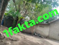 Tanpa Tersentuh Hukum Gudang Penimbunan BBM Jenis Solar Ilegal Daerah Desa Sukamenang Kecamatan Gelumbang Bebas Beraktivitas