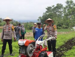 Dukung Asta Cita Presiden RI, Polres Aceh Tengah Buka dan Manfaatkan 20 Hektare Lahan Produktif