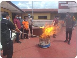 Polres Taput Musnakan Barang Bukti Narkoba Jenis Ganja. 