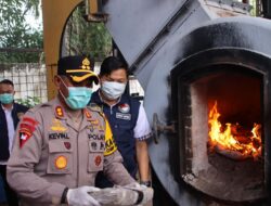 Polres OKUT Polda Sumsel Musnahkan Barang Bukti 35,7 KG Narkotika Jenis Ganja