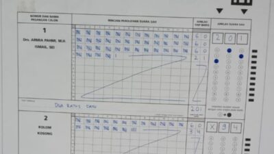 Armia Fahmi-Ismail  Menang Telak atas Kotak Kosong di Desa Tupah Pada Pilkada Aceh Tamiang 2024