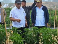 Bupati Humbahas Terima Kunker Kementan RI di Food Estate Kab.