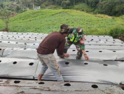 SUKSESKAN SWASEMBADA PANGAN, BABINSA KORAMIL 02/BEBESEN BANTU PETANI MENANAM KENTANG DI DESA TAWARDI KEC.KUTE PANANG KAB.ACEH TENGAH.