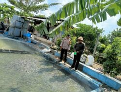 Perikanan dan Budidaya Ikan Berkontribusi Terhadap Ketahanan Pangan