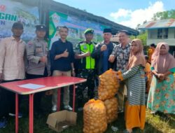 Kapung Tensaran bagikan Hasil Panen Kentang 15 Ton.