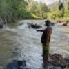 Puluhan hektar Sawah,Terancam Gagal Panen,Warga Owaq Dusun Kerlang.