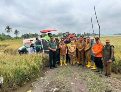 Guna Dukung Ketahanan Pangan Nasional, Polri Hadiri dan Berikan Pengamanan Saat Giat Panen Raya