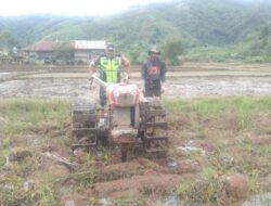 Siapkan Lahan Pertanian, Babinsa Dampingi Petani Garap Sawah