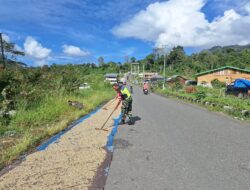 Babinsa Laksanakan Pendampingan Jemur kopi Warga Binaannya.