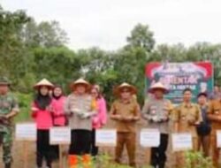 Polres Bersama Forkopimda Humbahas Lakukan Penanaman Jagung. 