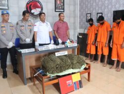 Polres Langsa Amankan 10 Kilogram Ganja, 3 Tersangka Berhasil Ditangkap
