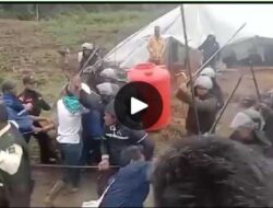 Perbuatan Kariawan PT TPL Tidak Manusiawi. 