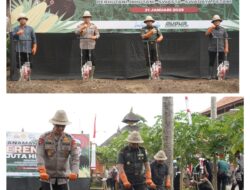 Kasdam IX/UDY Apresiasi Program Kementan RI, Tanam Jagung 1 Juta Hektar
