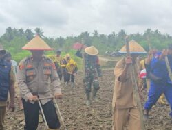 Kapolsek Lalan Bersama Pemerintah Kecamatan Lalan Melaksanakan Kegiatan Penanaman Jagung Serentak 1 Juta Hektar