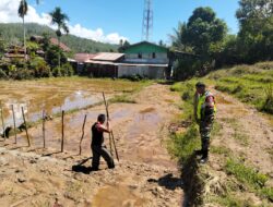 Sinergi TNI dan Petani: Langkah Nyata Menuju Ketahanan Pangan