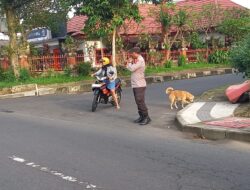 Wujud Pelayanan di Pagi Hari, Personil Polsek Bangli Laksanakan Pengaturan Arus Lalulintas