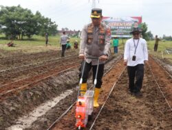 Kapolres Metro Tangerang Realisasi Asta Cita Presiden Prabowo, Penanaman 1 Hektare Jagung