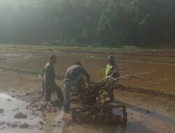 Babinsa Bantu Petani Olah Sawah di Aceh Tengah untuk Dukung Ketahanan Pangan