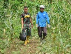 Satgas TMMD Ke-123 Kodim 0111/Bireuen Lanjutkan Pemasangan Bronjong, Bentengi Desa dari Ancaman Longsor.