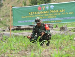 Komandan Satgas TMMD Ke-123 Tinjau Ketahanan Pangan di Lokasi Sasaran.