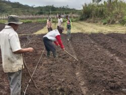 Dorong Ketahanan Pangan, Babinsa Aceh Tengah Dukung Petani Olah Lahan