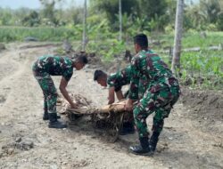 Anggota Satgas Tmmd Ke-123 Kodim 0111/Bireuen Bersihkan Pohon Tumbang Di Badan Jalan Akibat Hujan Deras.