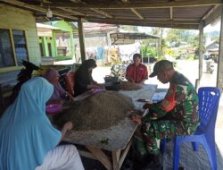 Babinsa Koramil 03/Pegasing Dampingi Warga Binaan Proses Penyortiran Kopi