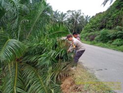 Bhabinkamtibmas bersama Warga Membersihkan Material di Lokasi Longsor di Bahu Jalan.
