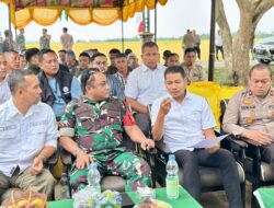 Panen Raya di Madat, Wabup Aceh Timur Tunjukkan Potensi Lumbung Pangan Nasional
