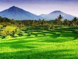 PROF SUTAN NASOMAL : Presiden Jenderal Prabowo Tinggal Mengomandoi Para Kepala Daerah Plus Perintah Hai Gubernur Walikota Kalian Harus Penuhi Janjimu Th 2025 Ini Awas Bila Kau Ingkar Beresss!!!