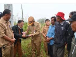 Bupati Humbahas Tinjau Lokasi Rencana Pembangunan USB SMP dan Pustu di Desa Siborboron Kecamatan Sijamapolang