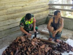 Pedeli Kesulitan Warga, Babinsa Bantu Warganya Belah kayu Bakar