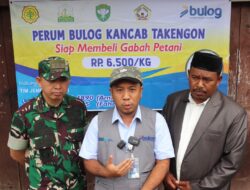 Optimalkan Serapan Gabah/Beras, Dandim 0106/Ateng Dampingi Bulok Serap Gabah Dari Petani.