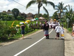 Bhabinkamtibmas Jatiluwih Berperan Aktif Dalam Pengamanan Upacara Ngebejiang Bersama Dengan Pecalang