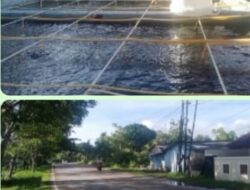 Diduga Tidak memiliki izin (Ilegal ) Budidaya Tambak Benur Windu dan Paname di Carita Cemari Lingkungan.