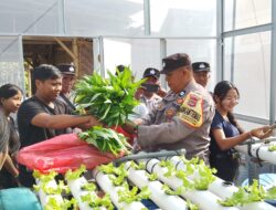 Panen Sayur Hidroponik, Bhabinkamtibmas Polsek Dentim Gandeng SMK PGRI 3 Dukung Ketahanan Pangan