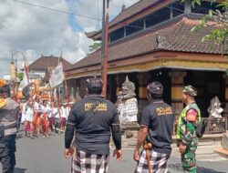 Jalin Sinergitas yang Kompak, Babinsa Sanding Kawal Ritual Adat Ngemedalin