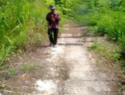 Banyaknya sorotan dari warga lontung Kecamatan Muara, Terhadap Kepdesnya, Akibat dugaan penyimpangan pelaksanaan dana DD / APBD Yang Tidak Tepat sasaran.